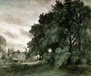 Studie av träd (olja på papper)